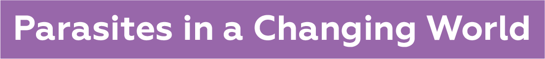 slogan